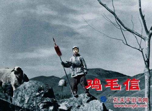 文教大学计算机科学文凭证书